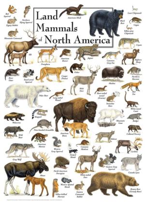 Land Mammals of North America Wildlife Jigsaw Puzzle By MasterPieces