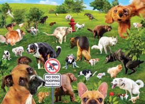 Super Dooper Poopers Humor Jigsaw Puzzle By MasterPieces
