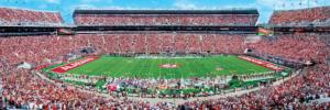 Alabama Crimson Tide NCAA Stadium Panoramics Center View Father's Day Panoramic Puzzle By MasterPieces