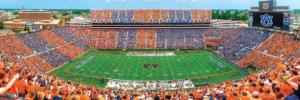Auburn Tigers NCAA Stadium Panoramics Center View Sports Panoramic Puzzle By MasterPieces