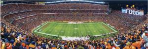 Denver Broncos Father's Day Panoramic Puzzle By MasterPieces