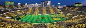 Iowa Hawkeyes NCAA Stadium Panoramics Center View Father's Day Panoramic Puzzle By MasterPieces
