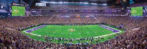 Minnesota Vikings NFL Stadium Panoramics Center View Sports Panoramic Puzzle By MasterPieces