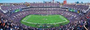 Baltimore Ravens NFL Stadium Panoramics Center View Father's Day Panoramic Puzzle By MasterPieces