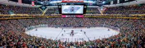 Minnesota Wild NHL Stadium Panoramics Center View