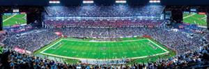 Tennessee Titans NFL Stadium Panoramics Center View Father's Day Panoramic Puzzle By MasterPieces