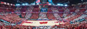Univeristy of Wisconsin Basketball Sports Panoramic Puzzle By MasterPieces