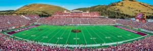 Montana Grizzlies NCAA Stadium Panoramics Center View