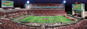 Mississippi State Bulldogs NCAA Stadium Panoramics Center View Sports Panoramic Puzzle By MasterPieces