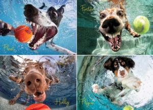 Underwater Dogs:  Play Ball