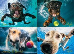 Underwater Dogs:  Splash