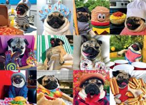 Doug the Pug: Pug Life Sweets Jigsaw Puzzle By Willow Creek Press