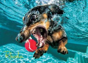 Underwater Dogs:  Rhoda Photography Jigsaw Puzzle By Willow Creek Press