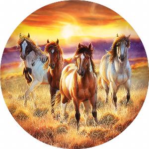 Running in the Sun Sunrise & Sunset Round Jigsaw Puzzle By SunsOut