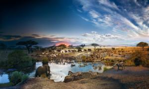 Serengeti National Park, Day to Night ™ National Parks Jigsaw Puzzle By 4D Cityscape Inc.