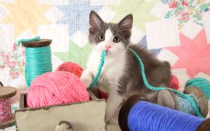 Knitter's Helper