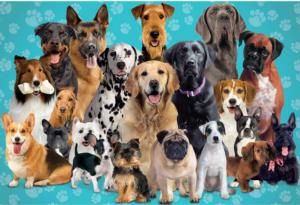 Dogs Dogs Jigsaw Puzzle By Paper House Productions