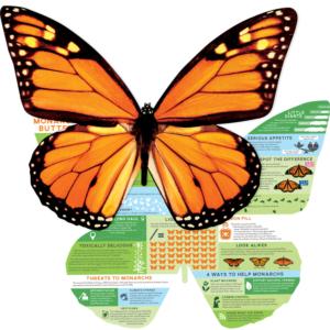Monarch Info Educational Multi-Pack By Paper House Productions