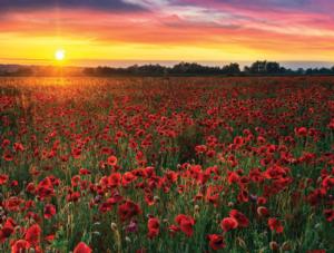 Poppy and Barley Sunrise / Sunset Jigsaw Puzzle By Karmin International