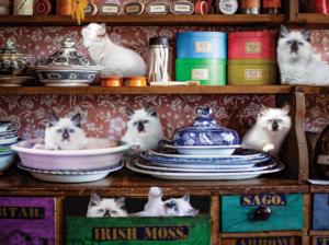 Country Store Kittens - Scratch and Dent Around the House Jigsaw Puzzle By Karmin International
