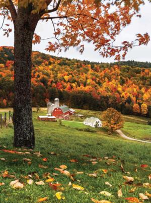 Fall Colors, Vermont United States Jigsaw Puzzle By Karmin International