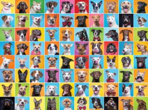 Cute Dogs Colors Dogs Jigsaw Puzzle By Karmin International