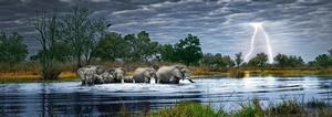 Herd of Elephants Lakes / Rivers / Streams Panoramic Puzzle By Heye