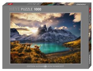 Guanacos Nature Jigsaw Puzzle By Heye