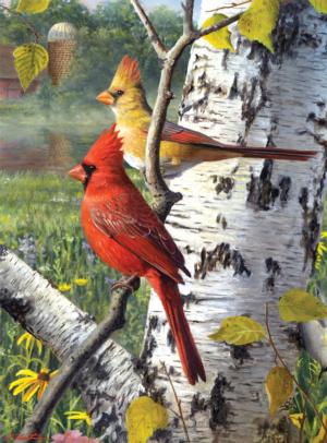 Cardinals and Birch Birds Jigsaw Puzzle By Buffalo Games