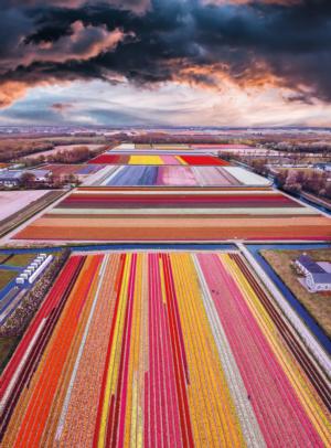 BLANC Series: Infinity Fields of the Netherlands Europe Jigsaw Puzzle By Buffalo Games