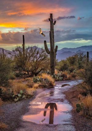 BLANC Series: Cactus Reflection, Arizona Landscape Jigsaw Puzzle By Buffalo Games
