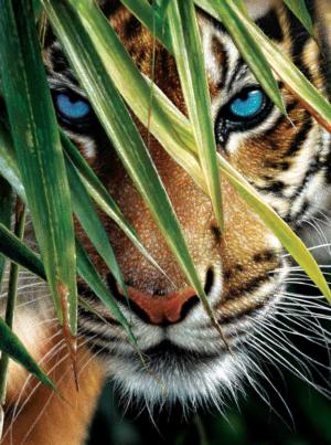Blue Eyes Tigers Jigsaw Puzzle By SunsOut