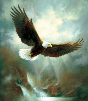 Eagle Flight Eagle Large Piece By SunsOut
