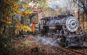 Train's Coming Train Jigsaw Puzzle By SunsOut