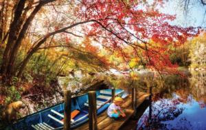 Morning Thoughts Lakes / Rivers / Streams Jigsaw Puzzle By SunsOut