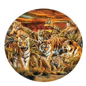 Tigers Galore