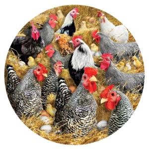 Chickens and Chicks Farm Animal Round Jigsaw Puzzle By SunsOut