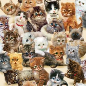 Kittens for the Taking Cats Jigsaw Puzzle By SunsOut