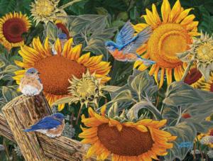 Sunflower Patch Flower & Garden Jigsaw Puzzle By SunsOut