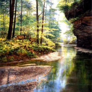 Quiet Forest Lakes / Rivers / Streams Jigsaw Puzzle By SunsOut