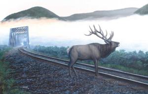 Elk Tracks Trains Jigsaw Puzzle By SunsOut