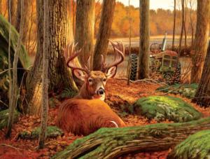 Where Sleeping Deer Lie Forest Jigsaw Puzzle By SunsOut
