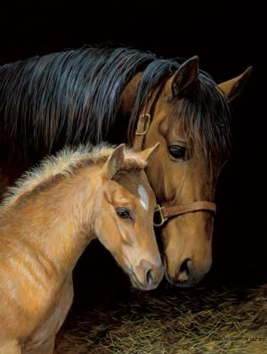 Bonding Horse Jigsaw Puzzle By SunsOut