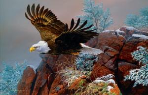 Wind Surfer Eagle Jigsaw Puzzle By SunsOut