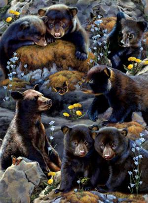 Bear Cubs Bear Large Piece By SunsOut