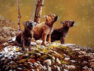 Nature's Song Wolves Jigsaw Puzzle By SunsOut
