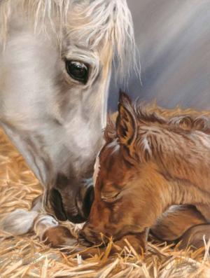 Gift of Nature Horse Jigsaw Puzzle By SunsOut