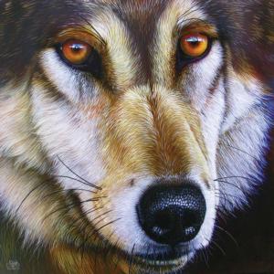 Wolf Face Wolves Jigsaw Puzzle By SunsOut