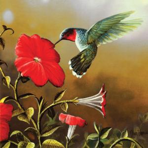 Ruby Throat Flower & Garden Jigsaw Puzzle By SunsOut