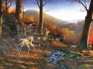 Shawnee Hills Outdoors Jigsaw Puzzle By SunsOut